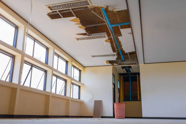 Best Ceiling water damage repair  in Caledonia, MN