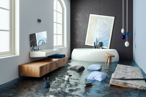Best Local water damage restoration  in Caledonia, MN