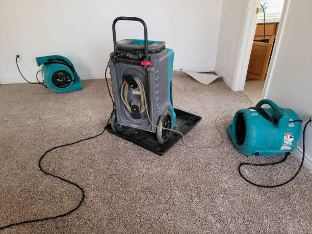  Caledonia, MN Water damage restoration Pros