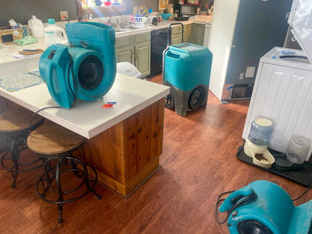 Best 24-hour water damage restoration  in Caledonia, MN