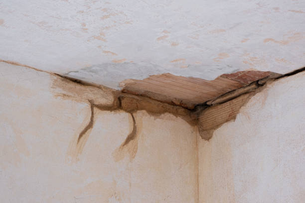 Best Flood restoration services  in Caledonia, MN