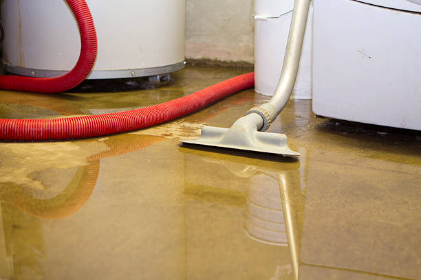 Best 24/7 water damage repair  in Caledonia, MN