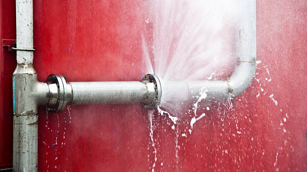 Best Water damage restoration near me  in Caledonia, MN