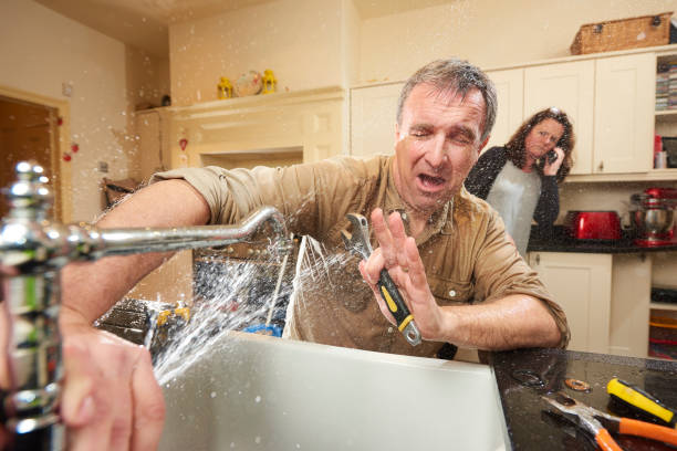 Best Commercial water damage restoration  in Caledonia, MN